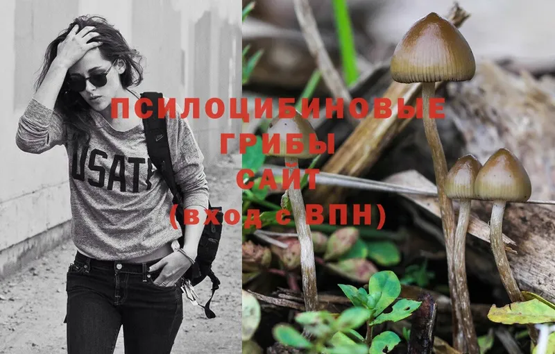 Галлюциногенные грибы Magic Shrooms  Жуков 